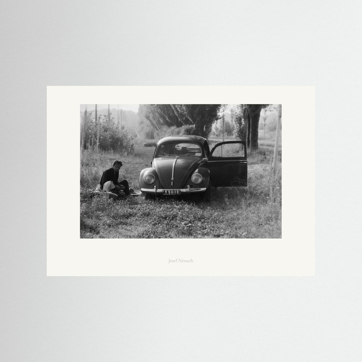 Roadside Pause